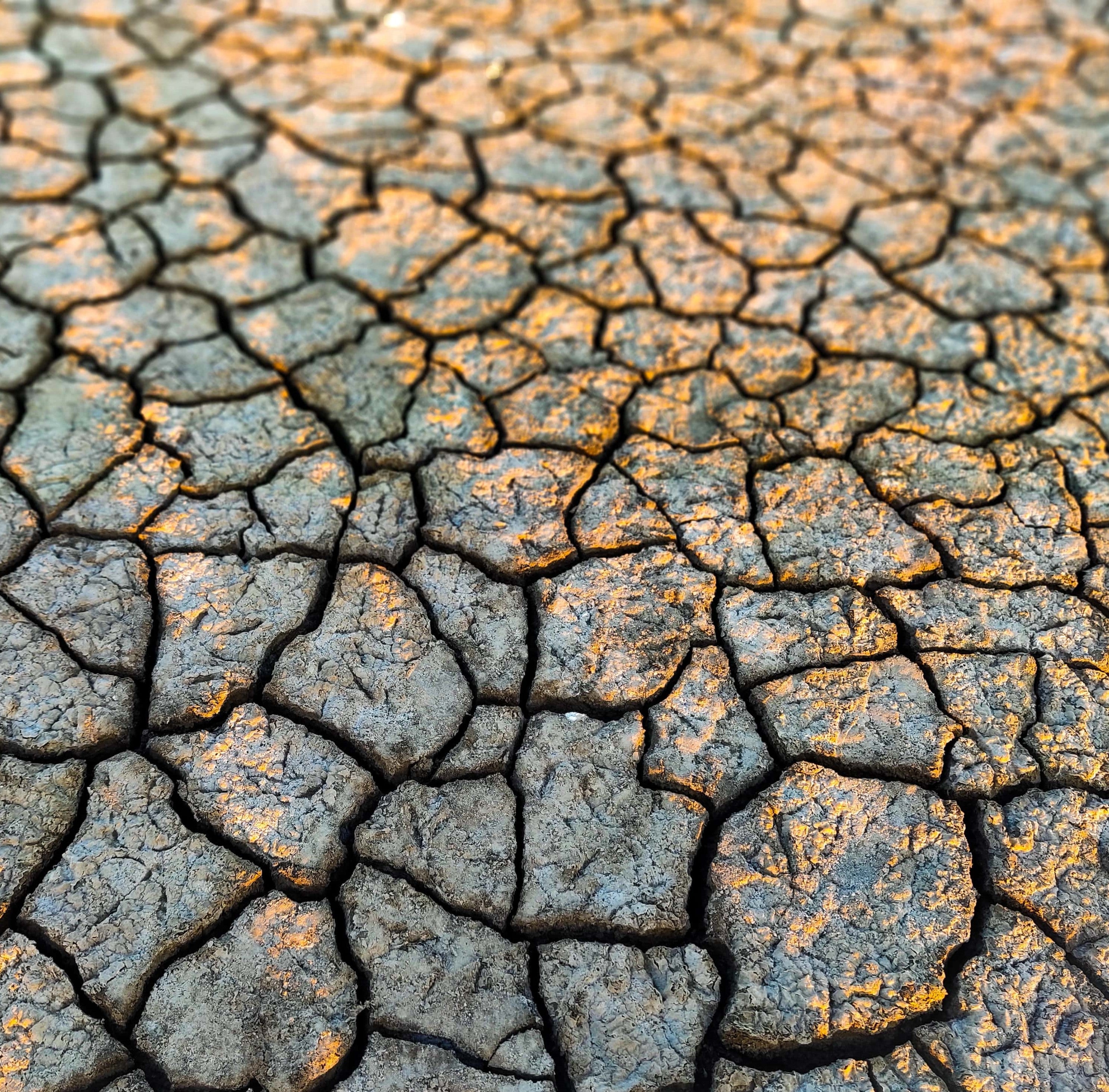 Erosion, schädlich, trockener Boden, trocken, Verbesserung, erde, Nachhaltigkeit, Schutz