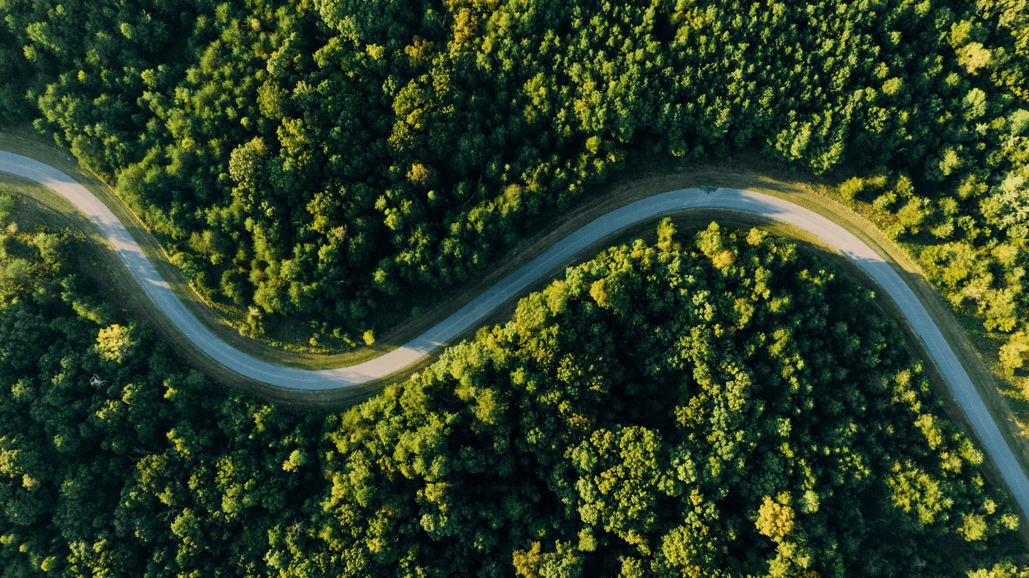 Straße, Natur, Versand, Klimafreundlich, Co2 Abdruck, CO2 Ausstoß, Paket, klimapositiv, Projekte, Anbieter, Versanddienstleister, 