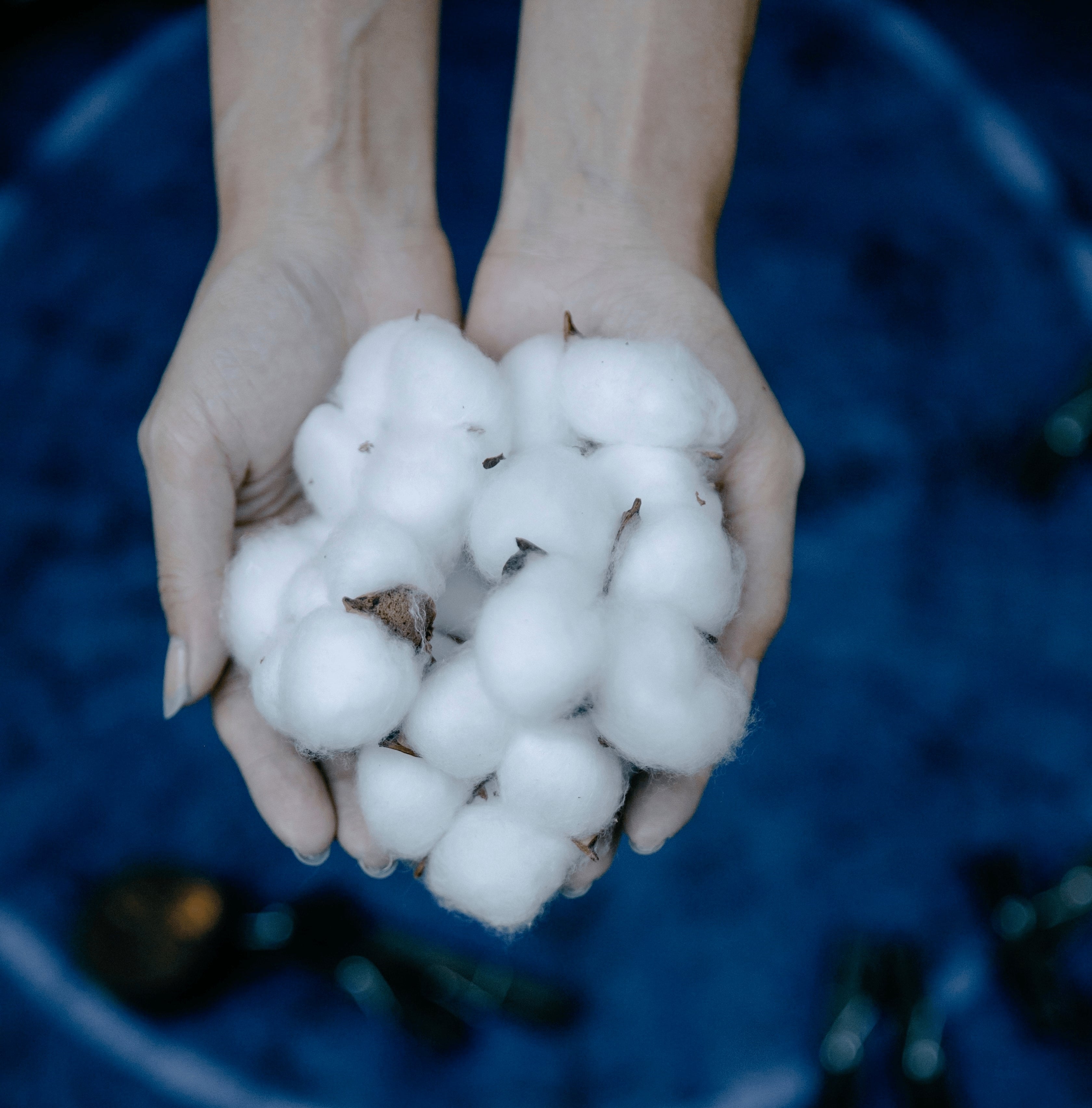 Baumwolle, Ökologische Baumwolle, Nachhaltige Baumwolle,  Bio-Baumwolle, Klimafreundliche Produktion, Klimafreundlich, Umweltfreundlich, Umweltfreundliche Kleidung