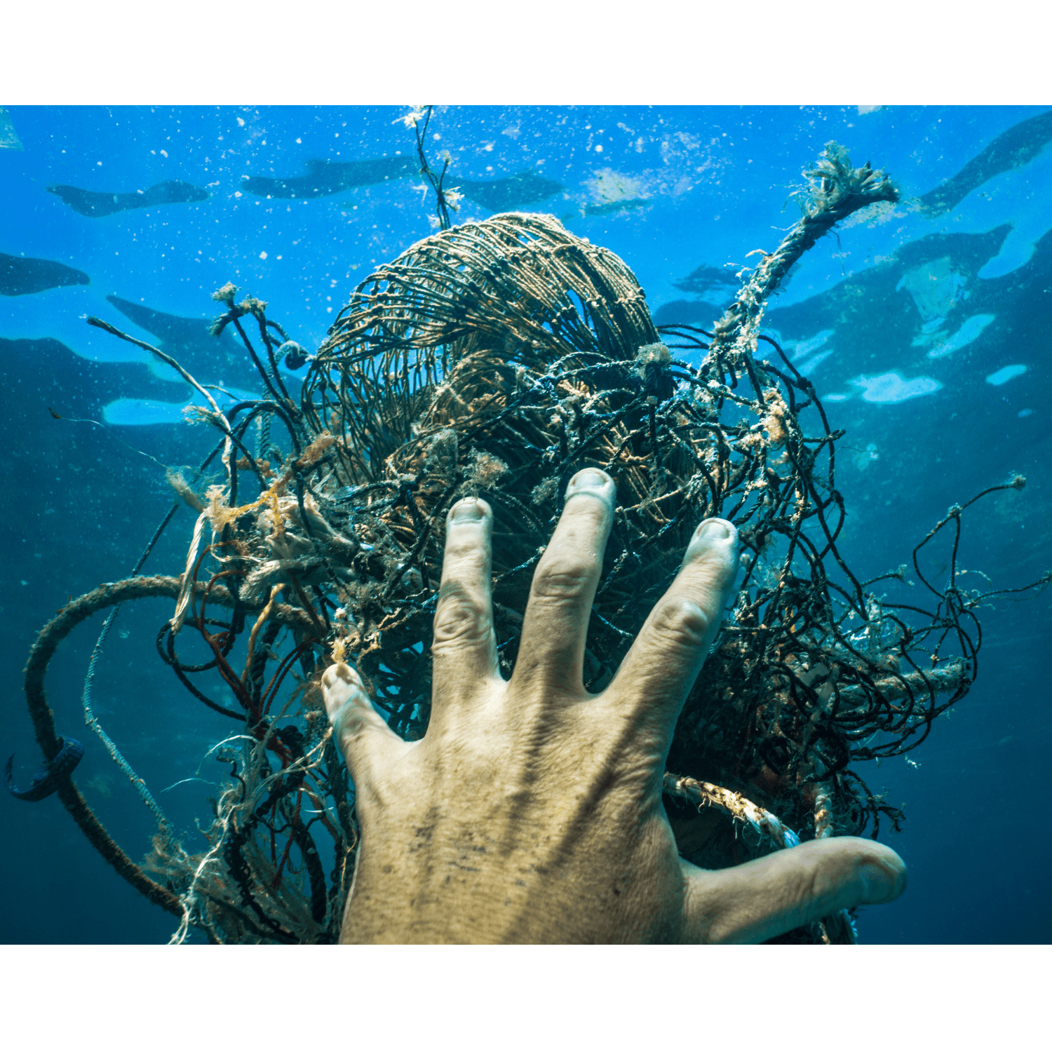 Ocean Cleanup, Plastik, Müll. Befreien, Spenden, Soziales, Gemeinschaftlich, Problem, Lösung, Projekt, Community, Persönlich, Wirkung, Impact
