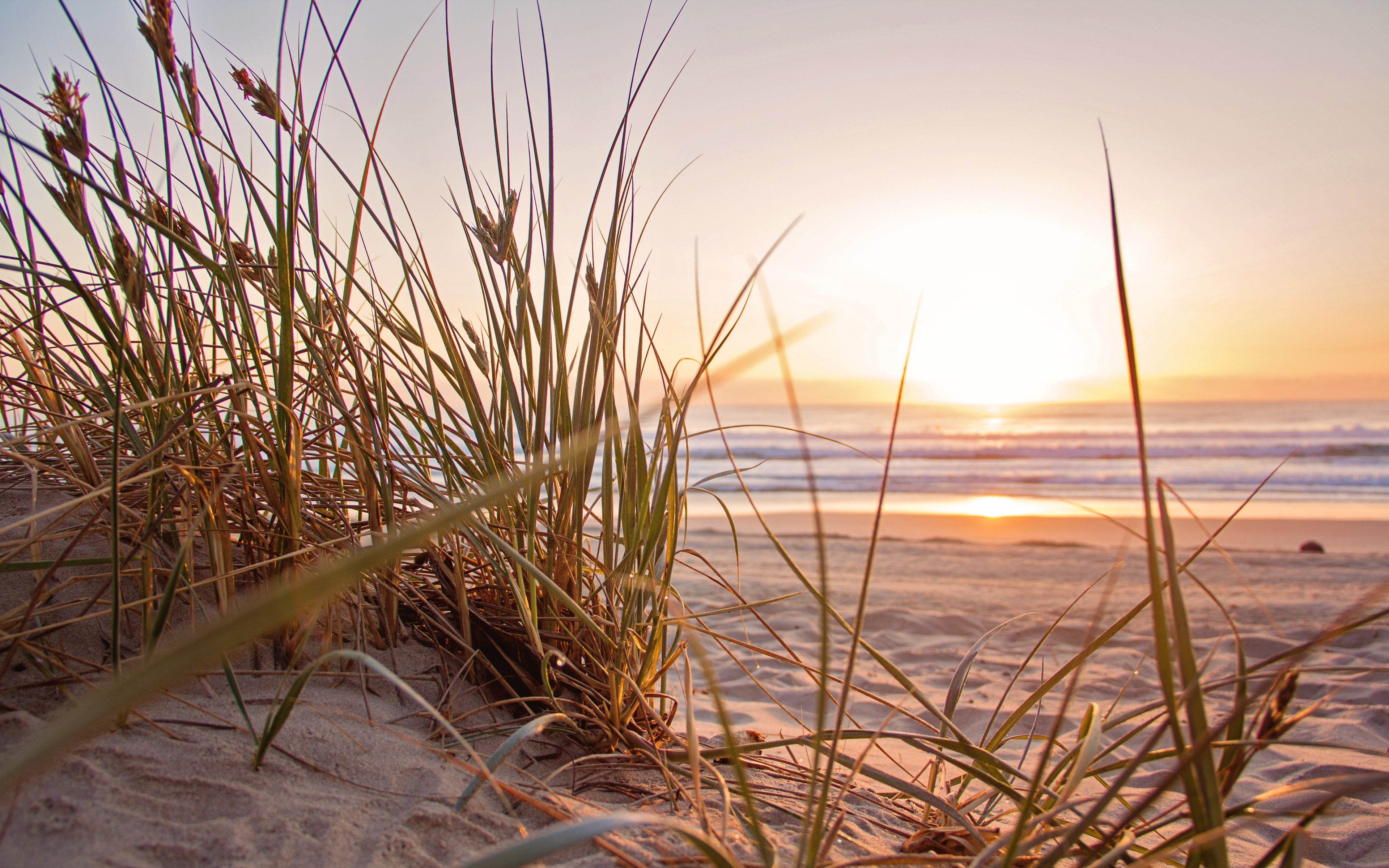 Dünen, Sonnenuntergang, Strand, Feiner Sand, Wellen, Dünengras, Ozean, Meer, Ruhige Stimmung, Sand, 